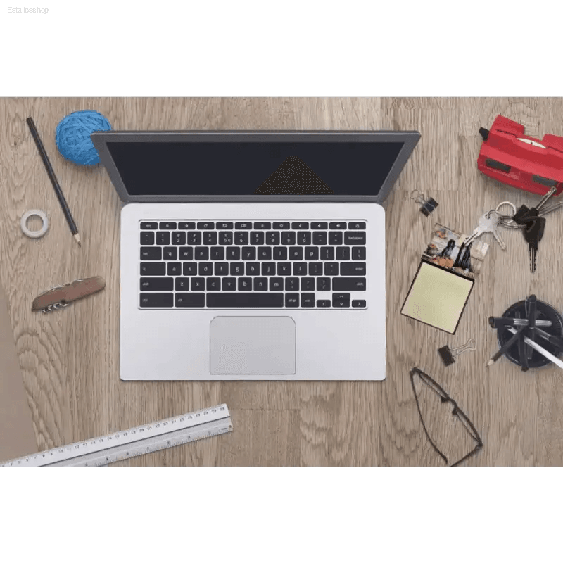 Unleash Productivity: Silver Laptop Plus Paw-some Notepads - Estalios