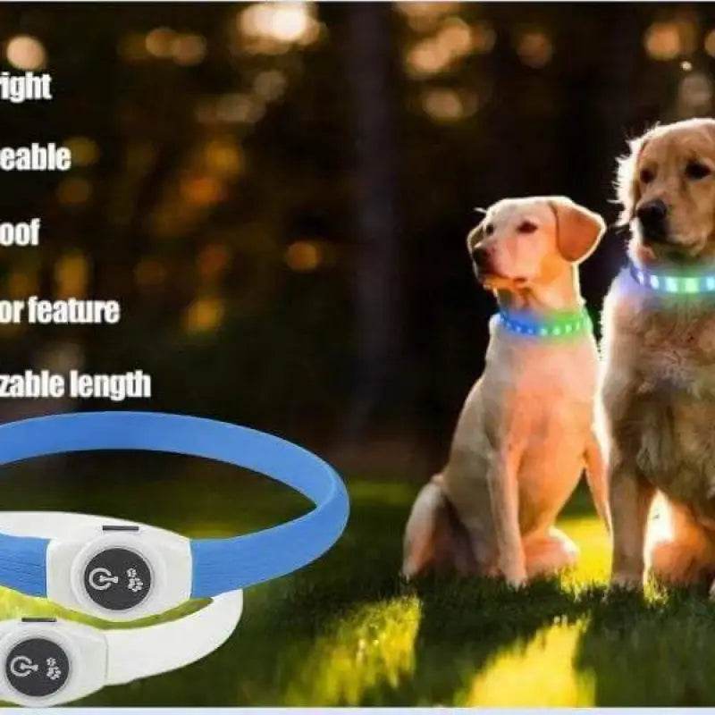 Illuminated dog collars.