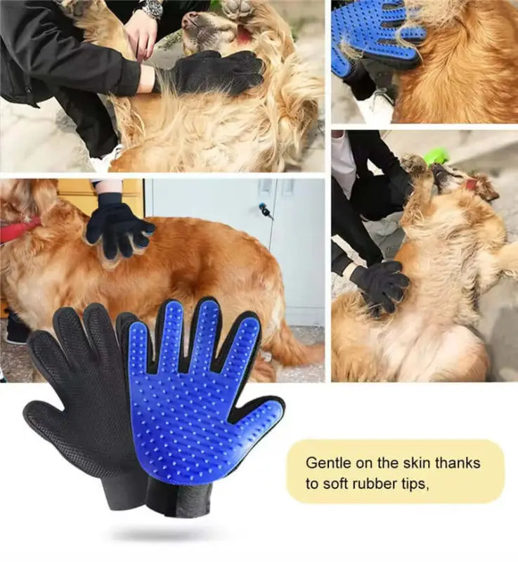 Blue and black pet grooming gloves.