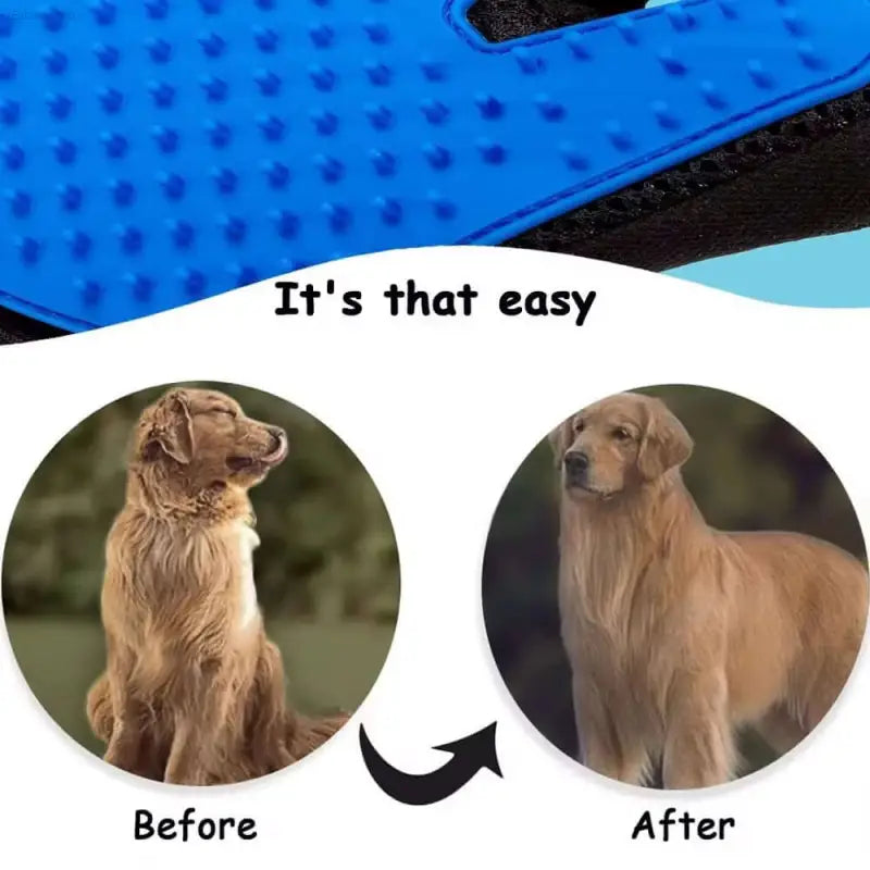 Dog grooming glove.