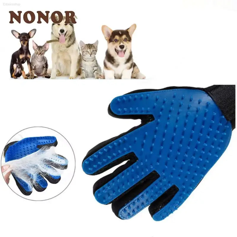 Blue grooming glove.