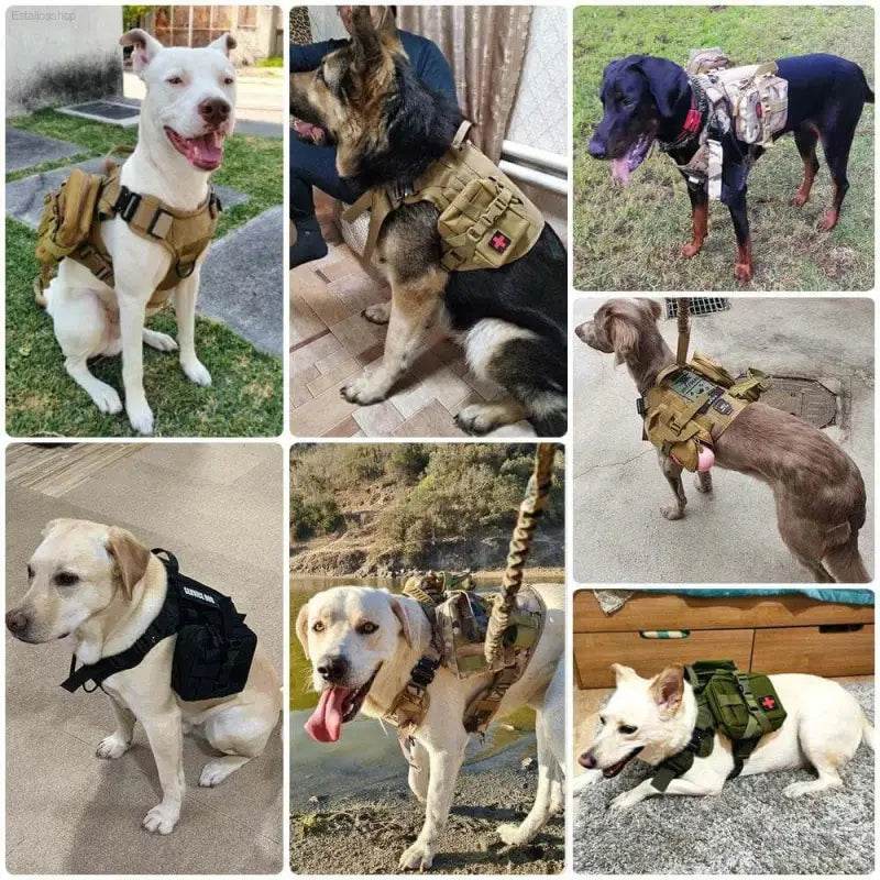 Unleash your Dog: Tan Tactical Dog Harness with Perfect Chest Girth! **product Description** Gear Up your Furry Friend with the Ultimate Tan Tactical - Estalios