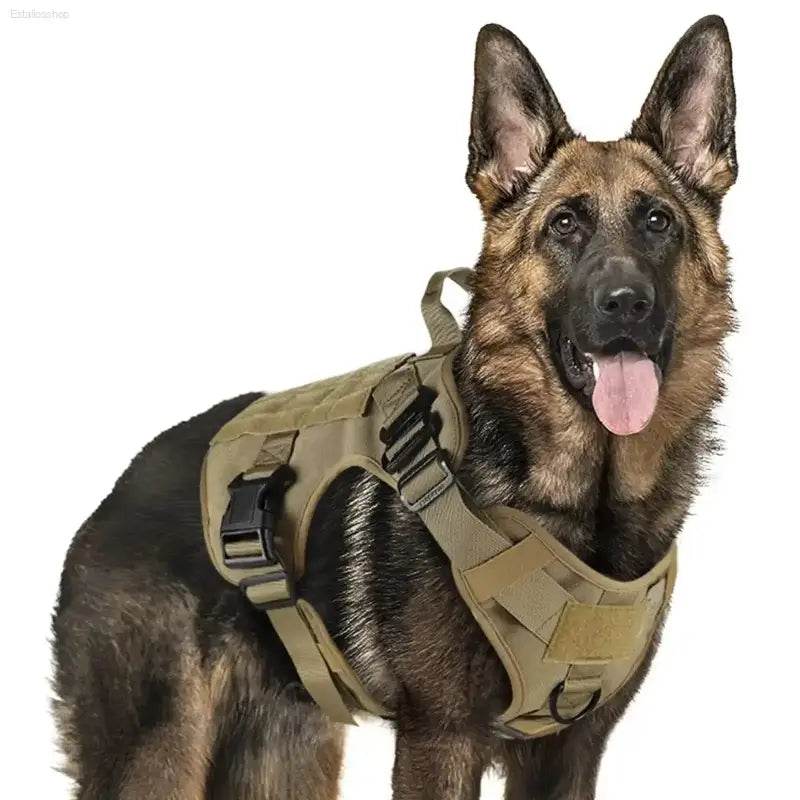 Unleash your Dog: Tan Tactical Dog Harness with Perfect Chest Girth! **product Description** Gear Up your Furry Friend with the Ultimate Tan Tactical - Estalios