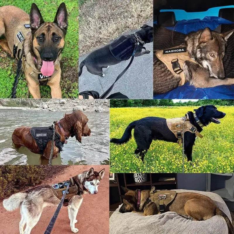 Unleash your Dog: Tan Tactical Dog Harness with Perfect Chest Girth! **product Description** Gear Up your Furry Friend with the Ultimate Tan Tactical - Estalios