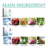 Versatile Perfume Display Set with Two Bottle Elegance - Estalios