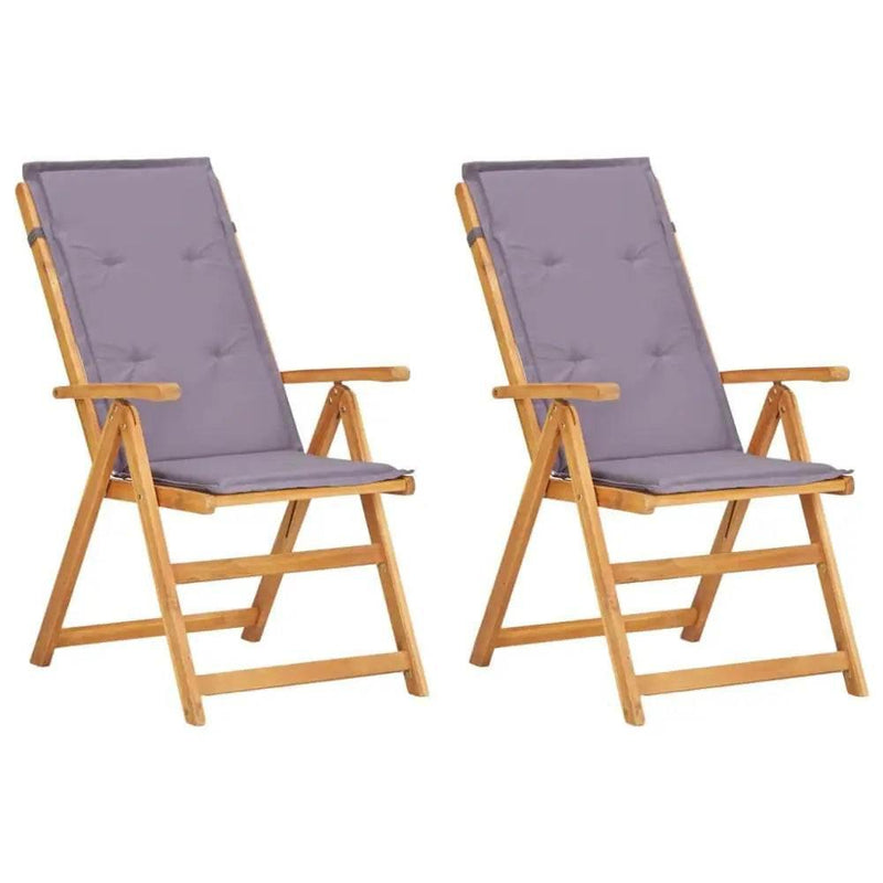vidaXL Garden Chair Set of 2 Dark grey - Estalios