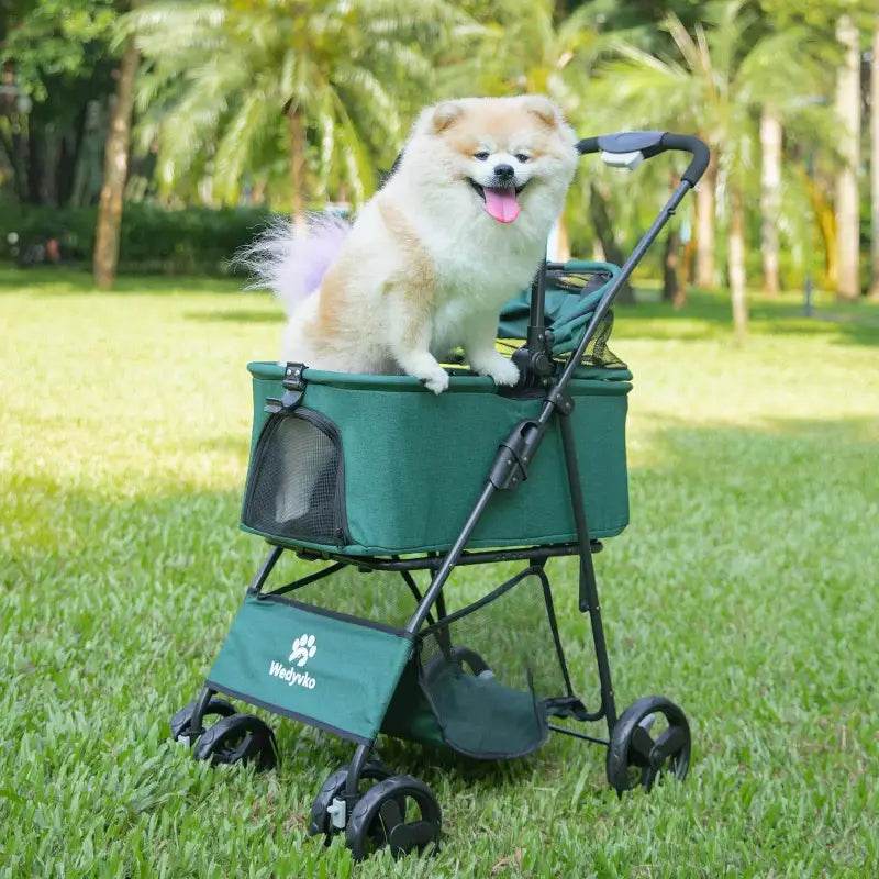 Green pet stroller with a fluffy dog.