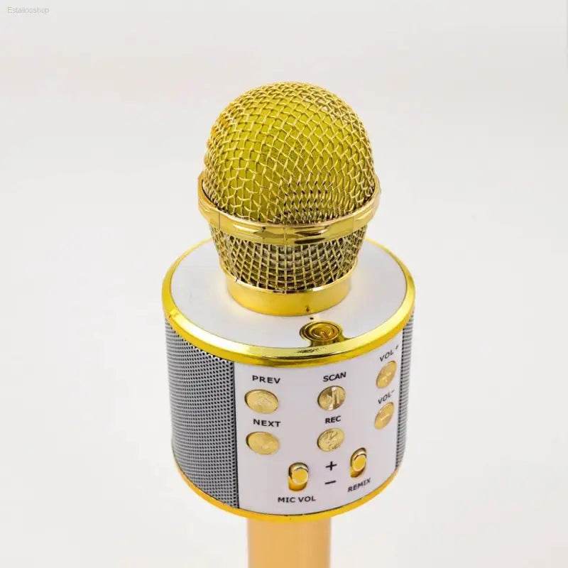 Wireless Karaoke Microphone for Fun Singing Anywhere - Estalios