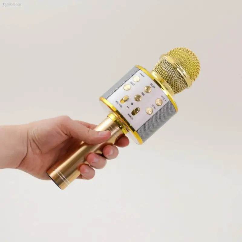 Wireless Karaoke Microphone for Fun Singing Anywhere - Estalios