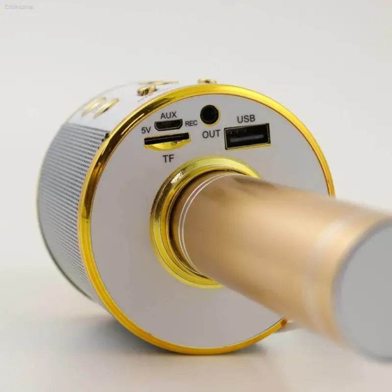 Wireless Karaoke Microphone for Fun Singing Anywhere - Estalios