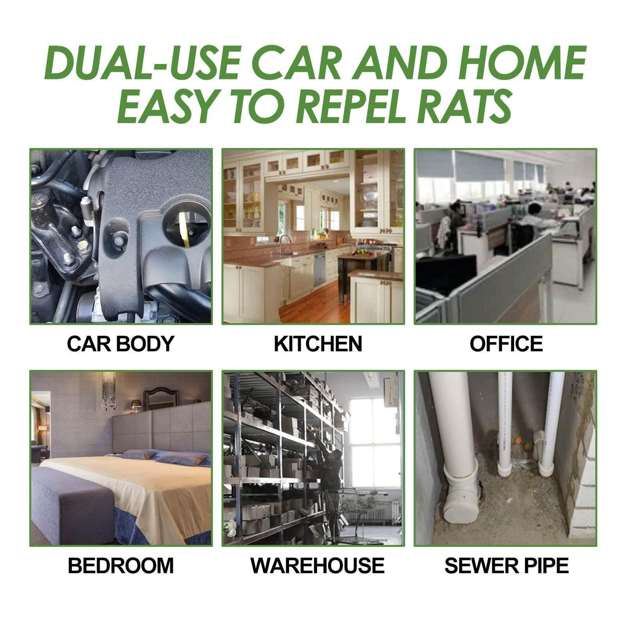 Rodent Rampage: Evict Rats and Mice - Estalios