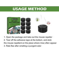 Rodent Rampage: Evict Rats and Mice - Estalios