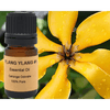 Ignite Your Senses with Lush Ylang Ylang Oil for Relaxation - Estalios