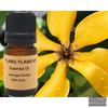 Ignite Your Senses with Lush Ylang Ylang Oil for Relaxation - Estalios