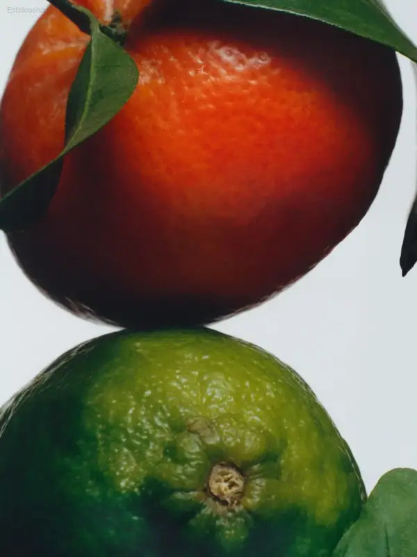 🍊 Zesty Freshness – Jo Malone London Lime Basil & Mandarin Cologne 30ml | Perfect for Signature Scents and Gifting - 30
